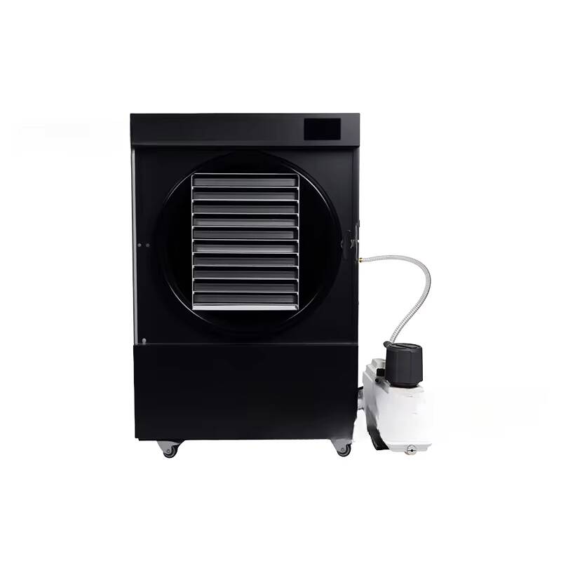 Liofilizzatore sottovuoto per  - Food Snacks In Usa recensione e prezzo